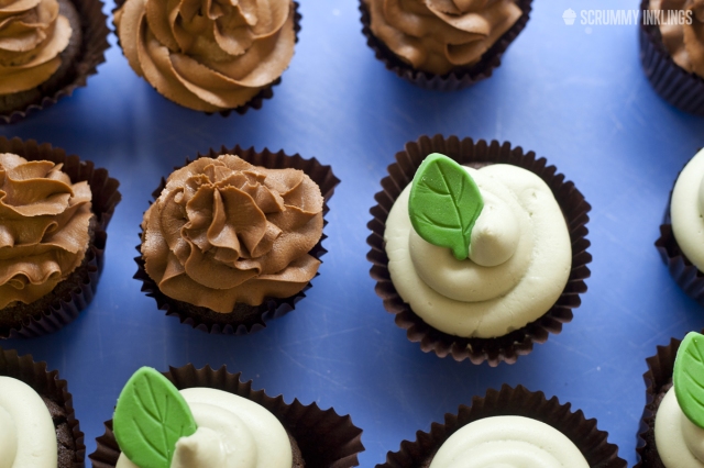 Double Chocolate & Chocolate Mint Cupcakes