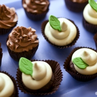 Double Chocolate & Mint Chocolate Cupcakes